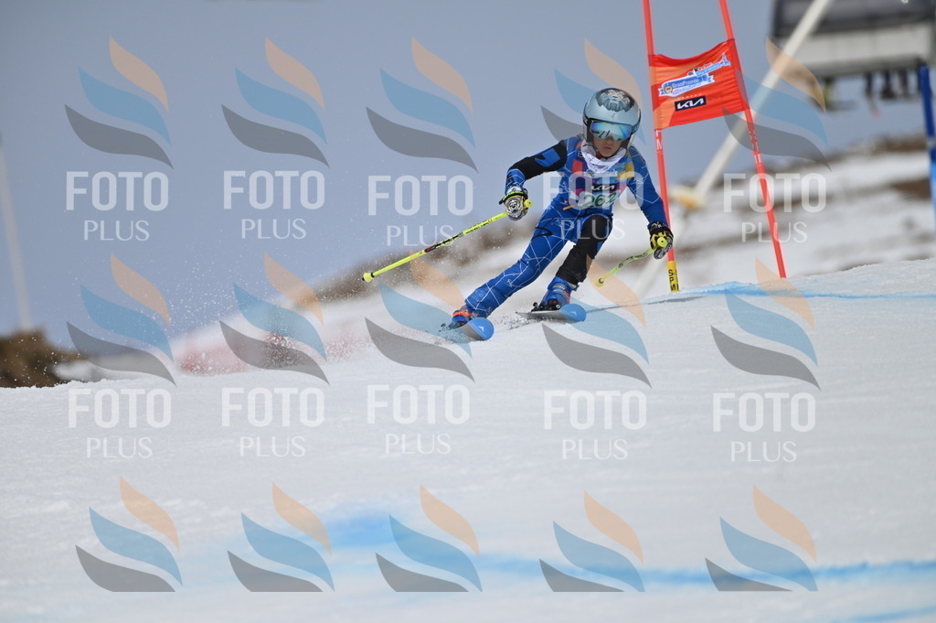 BGV_5189 | holidayphoto