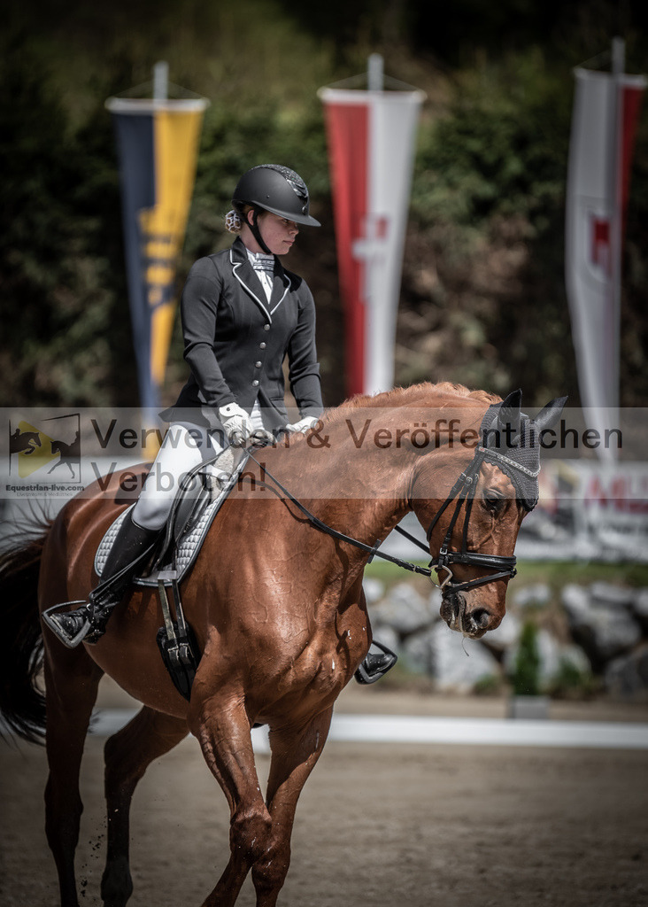 DSC_0743 | equestrian-live-com