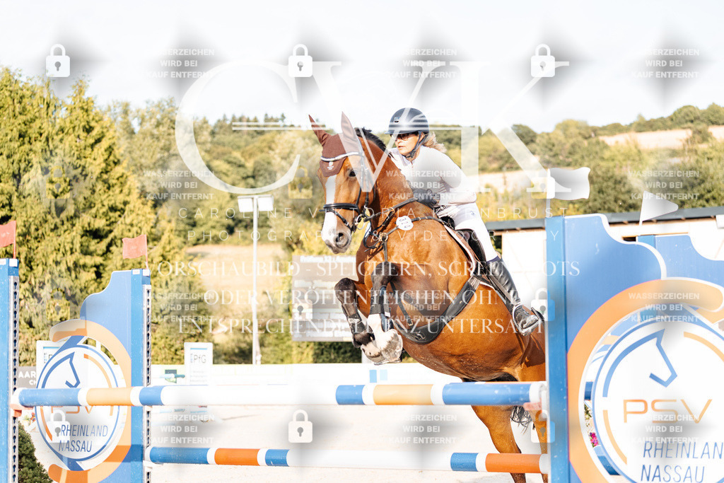 CK903321 | Turnierfotografie Pferdefotografie Trier Rheinland-Pfalz Pferdesport Reitsport Tierfotografie Sportfotografie Pferdevideo Pferdevideografie Equestrianvideography equestrianphotography  - Realisiert mit Pictrs.com