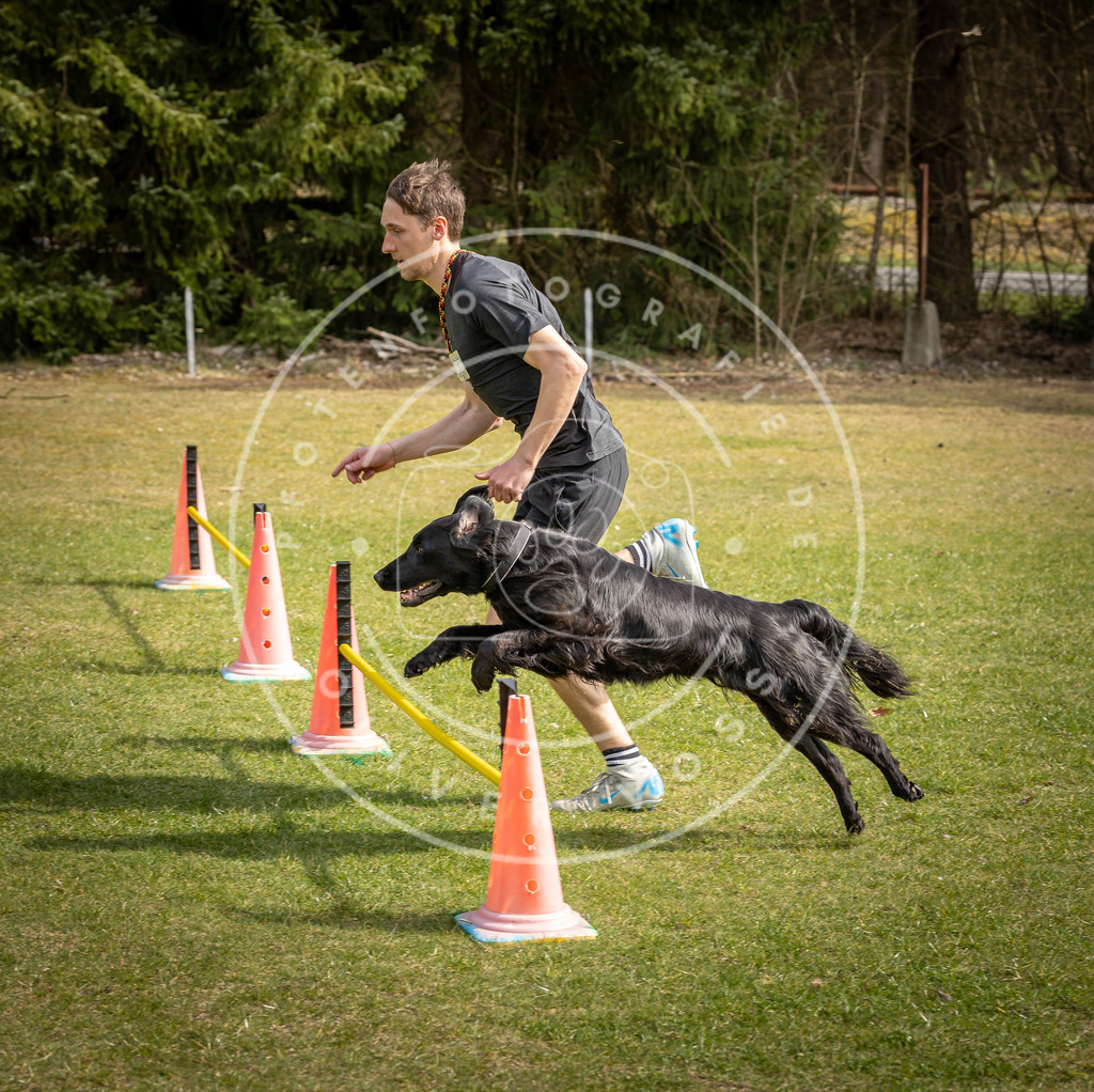 Pfotenfotografie_DV3A9356 | Hundefotografie, Tierfotograf, Pfotenfotografie, Fotoshooting Hund, Hunde Portrait, Hundesport, Hundeportraits, Heideshooting, Hunde, Sportfotograf, Hundefotograf, Turnierhundsport, THS,  - Realisiert mit Pictrs.com
