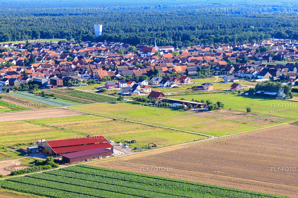 Pferdepension Seehof | Luftbild: Pferdepension Seehof in Hatzenbühl im Bundesland Rheinland-Pfalz in Deutschland. Foto: IMG_30779.jpg vom 31.07.2010 durch Werner Riehm/FLY-FOTO.de - Realisiert mit Pictrs.com