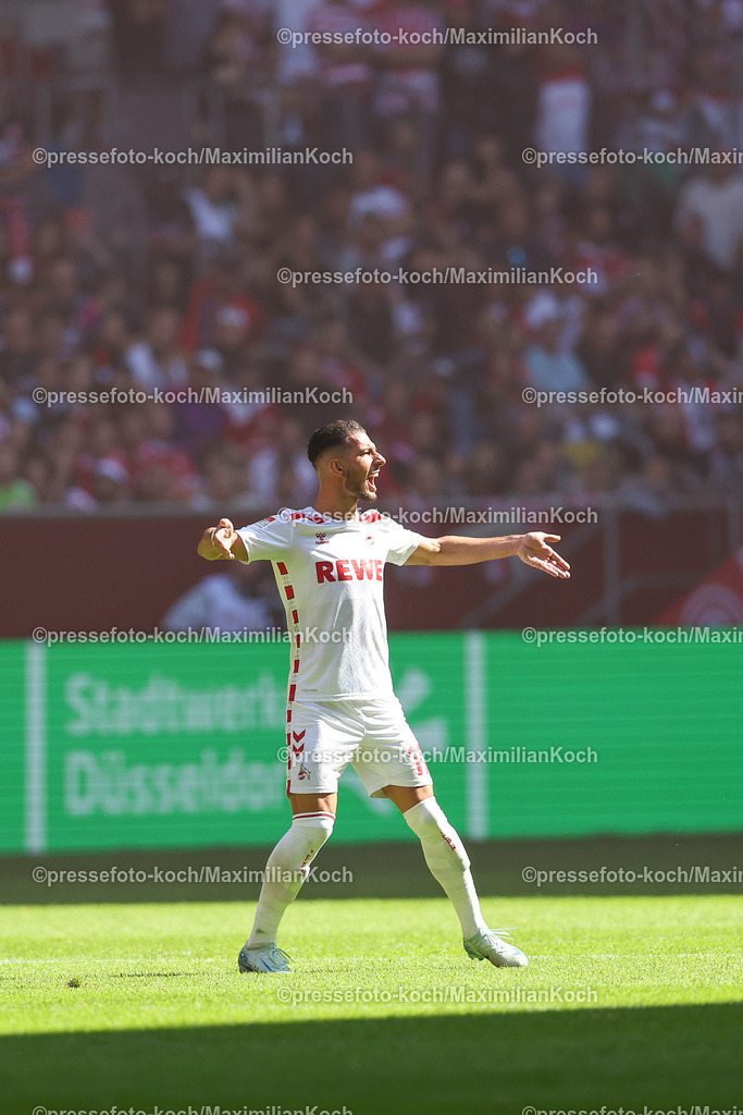 Due21092402121 | 21.09.2024, 2. Fußball Bundesliga, Fortuna Düsseldorf - 1. FC Köln, Merkur Spiel-Arena, Saison 2024 2025: Torjubel Leart Pacarada (1.FC Köln #17)DFB regulations prohibit any use of photographs as image sequences and or quasi-video.