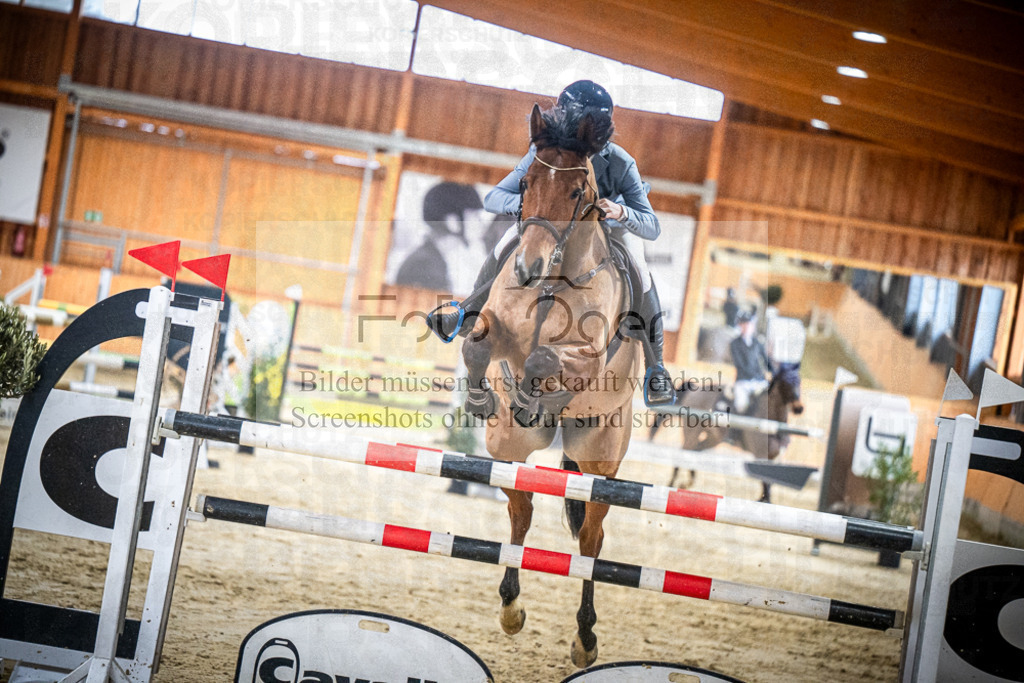 DOS_0617 | Entdecke hochwertige Reitturnierfotos von Foto Oger. Professionell, emotional und authentisch – jetzt Lieblingsmomente im Shop bestellen.Deutschlandweite Turnierfotografie. - Realisiert mit Pictrs.com