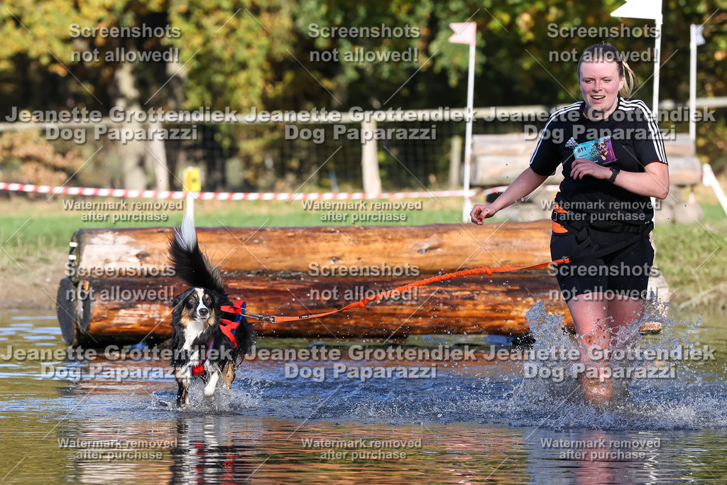 Dog Paparazzi - Strongdog 10-25-8856 | Dog Paparazzi Jeanette Grottendiek Fotografie & Videografie - Realisiert mit Pictrs.com