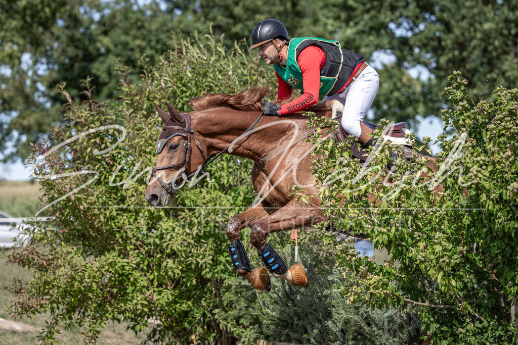 20250907-_3LI1312 | Tierfotografie Pferde, Hunde, Katzen, Haustiere.
Turnierfotografie Reitturniere, Reiten, Springreiten, Dressur in Hanau, dem Main-Kinzig-Kreis und dem Rhein-Main- Gebiet um Frankfurt