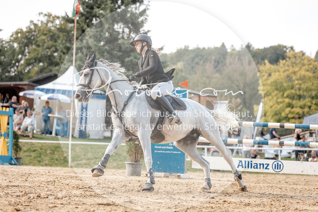 3I6A5186 | Stimmungsvolle Portraits und Reitsportfotografie im Ruhrgebiet und im Münsterland.

Pferdefotografie, Hundefotografie, Tierfotografie, Reportagen, Portraits von Tier und Mensch, Turnierfotografie in Bochum, Recklinghausen, Marl, Haltern am See, Dülmen.. - Realisiert mit Pictrs.com
