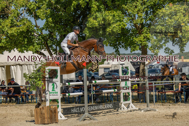 26-7-24 SPF M+-670 | mandyhollmannphotographie