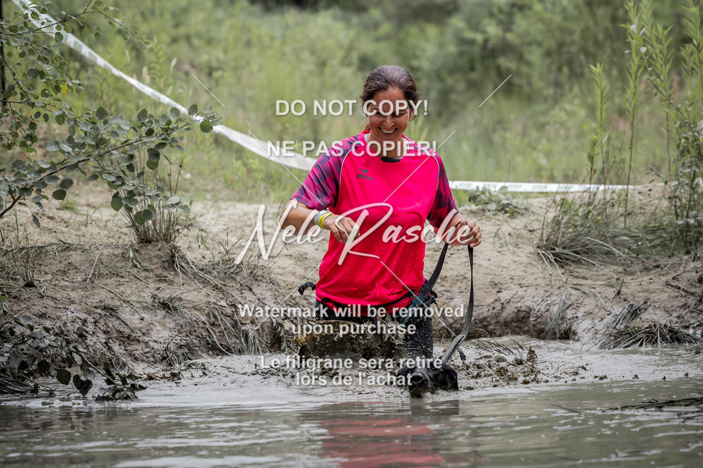 nelerasche_so1330-1400_393 | nelerasche