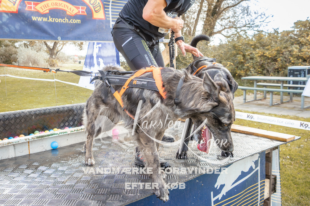 1359_ZZ93270-2 | kk-dogfotos