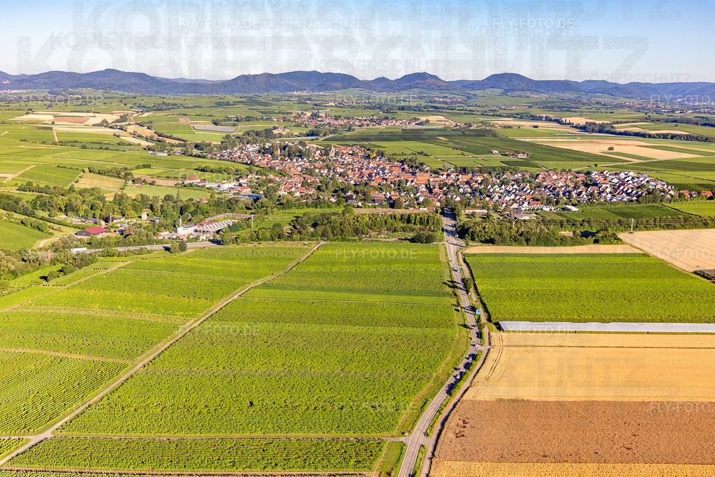 Ortsansicht von Westen | Luftbild: Ortsansicht von Westen in Insheim im Bundesland Rheinland-Pfalz in Deutschland. Foto: IMG_142441.jpg vom 09.07.2024 durch ©2025 Werner Riehm fly-foto.de/copyright - Realisiert mit Pictrs.com