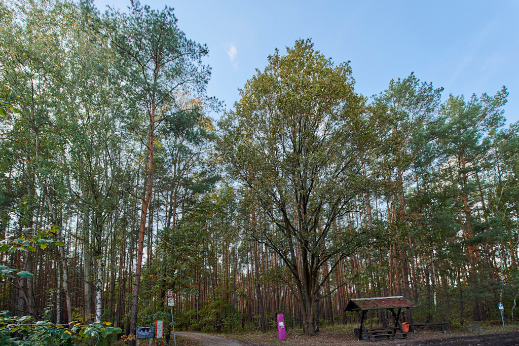 Südlich von Gruhno 01 | Bedeutsame Landschaften Deutschlands - Realisiert mit Pictrs.com
