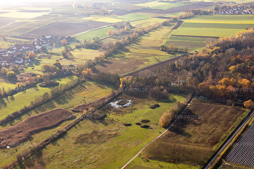 Luftbild: Billigheimer Bruch, Erlenbachtal zwischen Barbelroth, Hergersweiler und Winden im Ortsteil Mühlhofen in Billigheim-Ingenheim im Bundesland Rheinland-Pfalz in Deutschland. Foto: IMG_123869.jpg vom 21.11.2020 durch Werner Riehm/FLY-FOTO.de