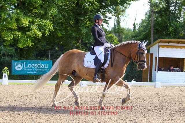 DKP42983 | Turnierfotos kaufen im Webshop von Daniel Kuhl Photography – entdecke professionelle Reitsportfotos aus Turnieren & Events. Hochwertige Turnierbilder online bestellen & sichern. Jetzt Fotos von Reitsportturnieren kaufen!