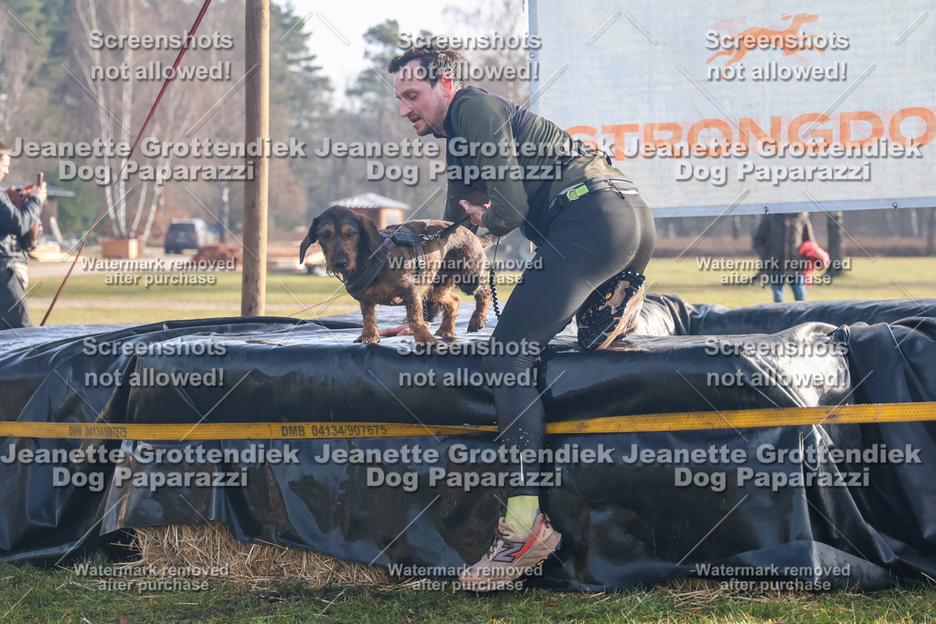 Dog Paparazzi - Strongdog North Mrz26-14 | Dog Paparazzi Jeanette Grottendiek Fotografie & Videografie - Realisiert mit Pictrs.com