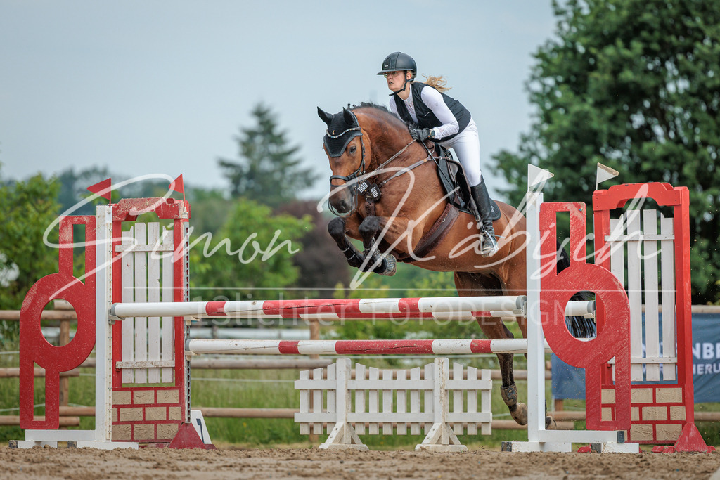 20260530-_3LI2580 | Tierfotografie Pferde, Hunde, Katzen, Haustiere.
Turnierfotografie Reitturniere, Reiten, Springreiten, Dressur in Hanau, dem Main-Kinzig-Kreis und dem Rhein-Main- Gebiet um Frankfurt