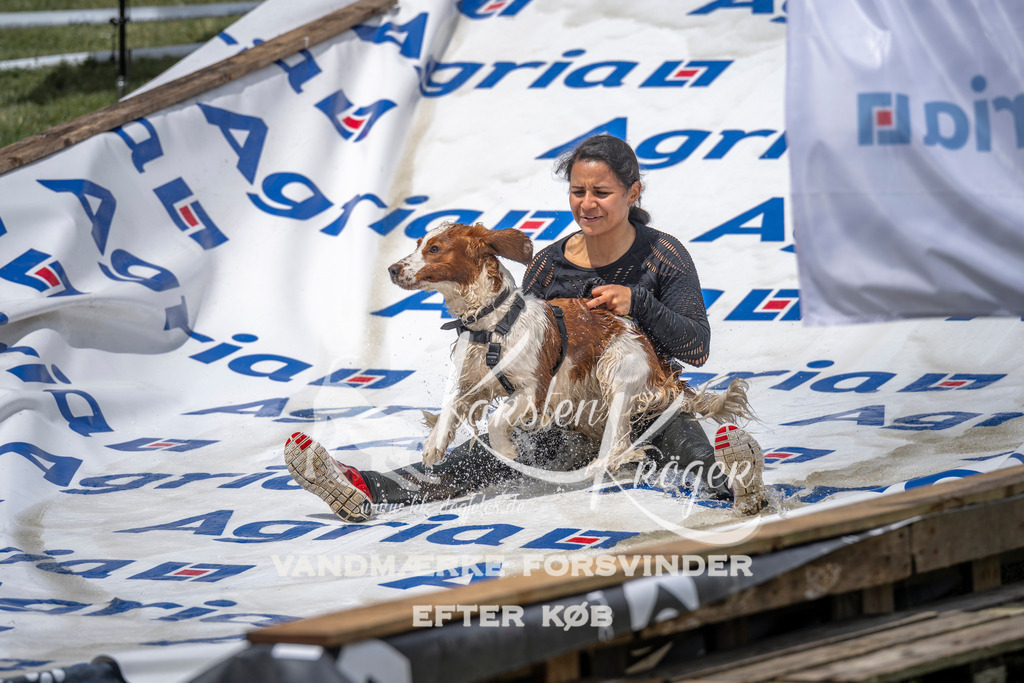 1155_ZZ94254 | kk-dogfotos