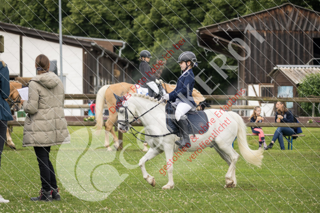 IMG_1700 | Sport-, Event- und Tierfotos in Profiqualität. Einfach auswählen, bestellen und herunterladen. Dein Moment – perfekt festgehalten.