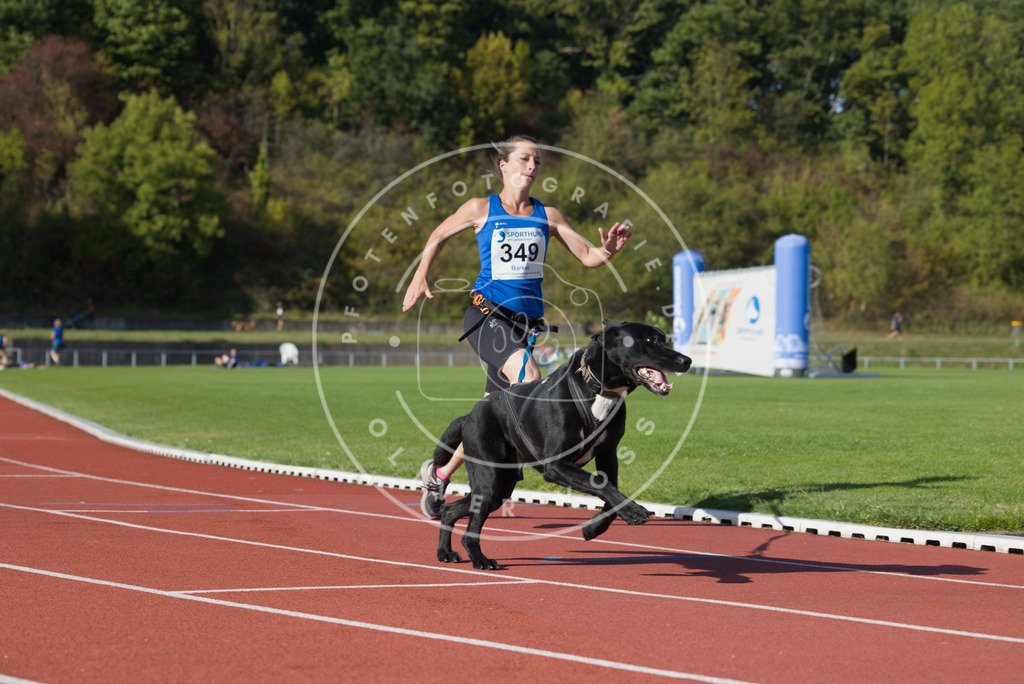 0L8A9669 | Hundefotografie, Tierfotograf, Pfotenfotografie, Fotoshooting Hund, Hunde Portrait, Hundesport, Hundeportraits, Heideshooting, Hunde, Sportfotograf, Hundefotograf, Turnierhundsport, THS,  - Realisiert mit Pictrs.com
