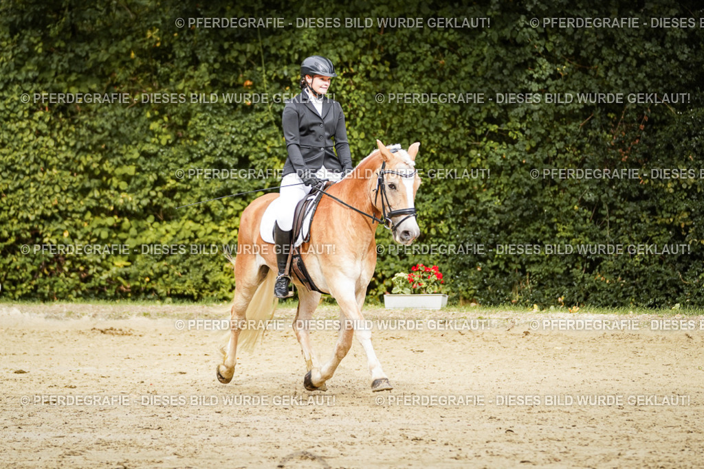 DSC00062 | Pferdegrafie