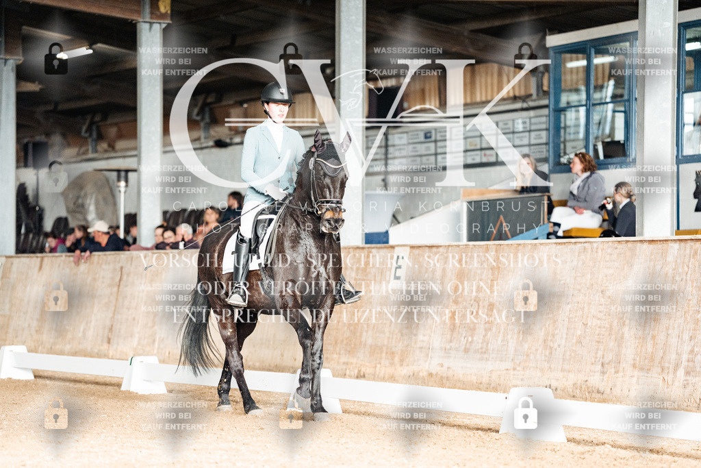CK903227 | Turnierfotografie Pferdefotografie Trier Rheinland-Pfalz Pferdesport Reitsport Tierfotografie Sportfotografie Pferdevideo Pferdevideografie Equestrianvideography equestrianphotography  - Realisiert mit Pictrs.com