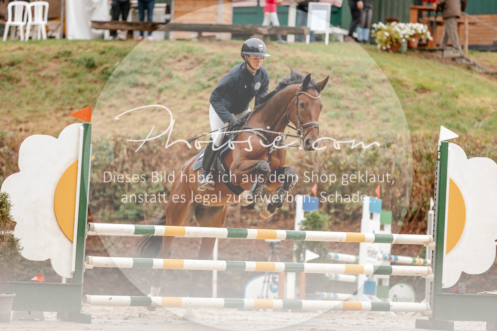 3I6A5772 | Stimmungsvolle Portraits und Reitsportfotografie im Ruhrgebiet und im Münsterland.

Pferdefotografie, Hundefotografie, Tierfotografie, Reportagen, Portraits von Tier und Mensch, Turnierfotografie in Bochum, Recklinghausen, Marl, Haltern am See, Dülmen.. - Realisiert mit Pictrs.com