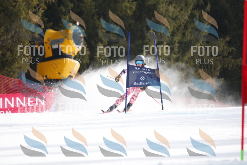 D8344 | holidayphoto