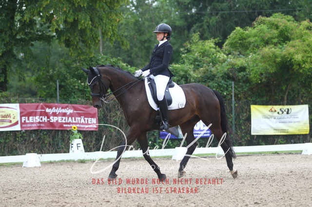 DKP40197 | Turniersportfotografie; Pferdefotografie; Dressurfotografie