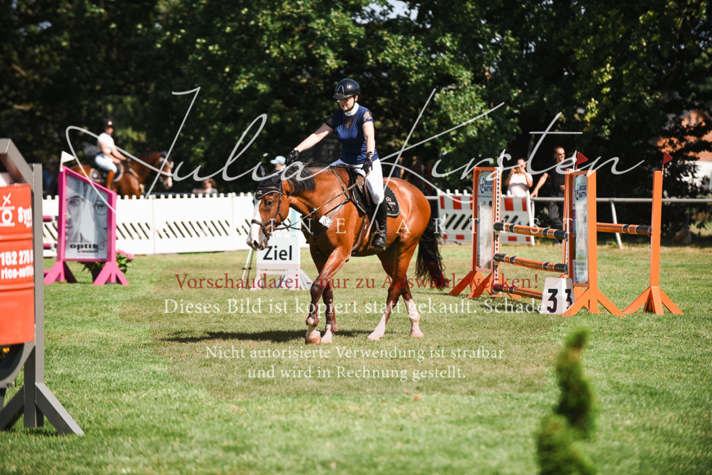 DSC_2805 | Pferde- und Turnierfotografie in Westsachsen. Pferdeportraits, Auftragszeichnungen und intuitive Kunst.