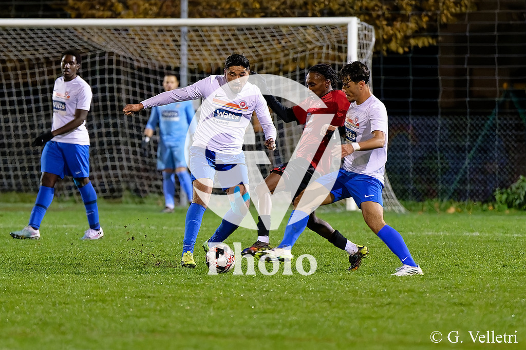 DSC_7166 | Velletri Photo