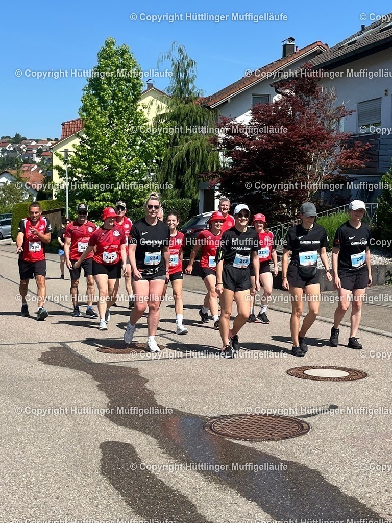 1d63df41-1a4b-473f-872b-aa025ca2becc | Hüttlinger Muffigelläufe - Realisiert mit Pictrs.com