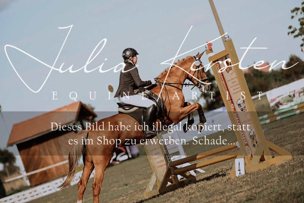 DSC_9322 | Pferde- und Turnierfotografie in Westsachsen. Pferdeportraits, Auftragszeichnungen und intuitive Kunst.