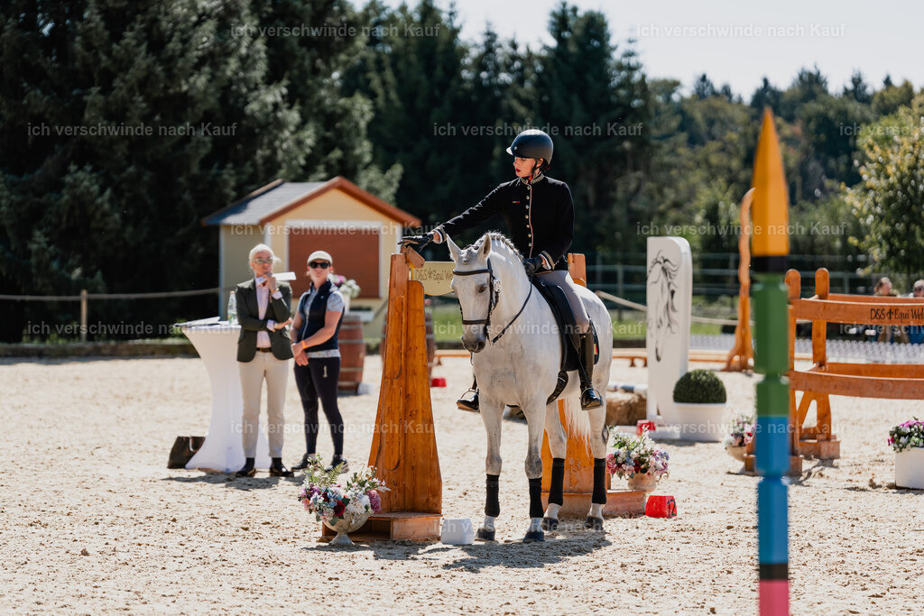 Virginie12FHC2025-08608 | working equitationturnier fotograf videograf stoibphotography marixx film working equitation deutschland reitsport turnierfotografie eventfotografie equestrian events
