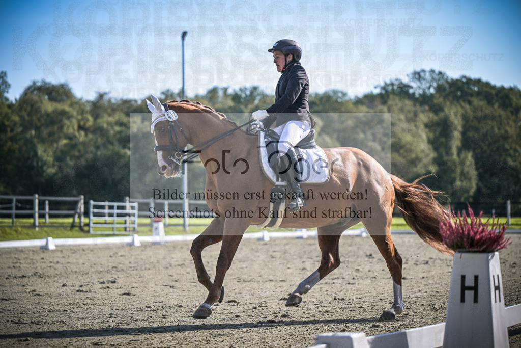 DOS_1710 | Entdecke hochwertige Reitturnierfotos von Foto Oger. Professionell, emotional und authentisch – jetzt Lieblingsmomente im Shop bestellen.Deutschlandweite Turnierfotografie. - Realisiert mit Pictrs.com