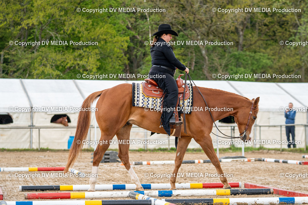 Heiligenwald Tag 1-661 | dv-media-shop - Realisiert mit Pictrs.com