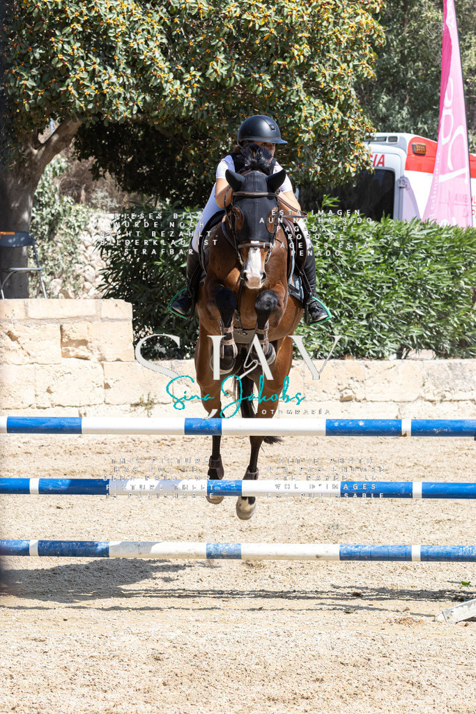 IMG_3633 | s-jay-photography - Realisiert mit Pictrs.com