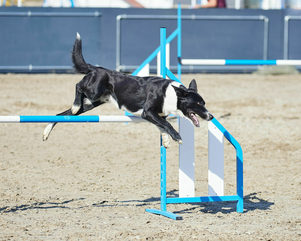 580A0153 | Peter Fridle Fotografie - Realisiert mit Pictrs.com