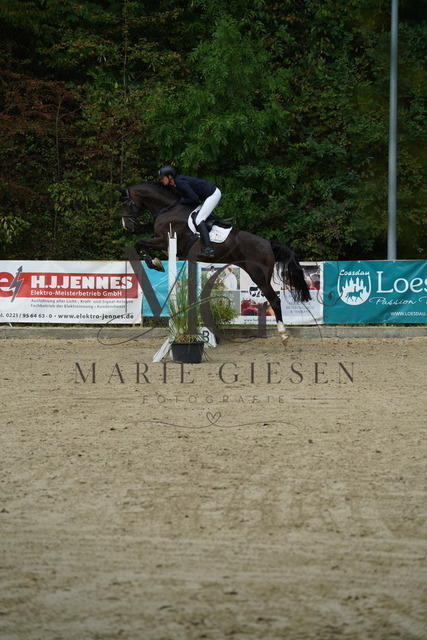 VAN09699 | Marie Giesen Fotografie - Realisiert mit Pictrs.com
