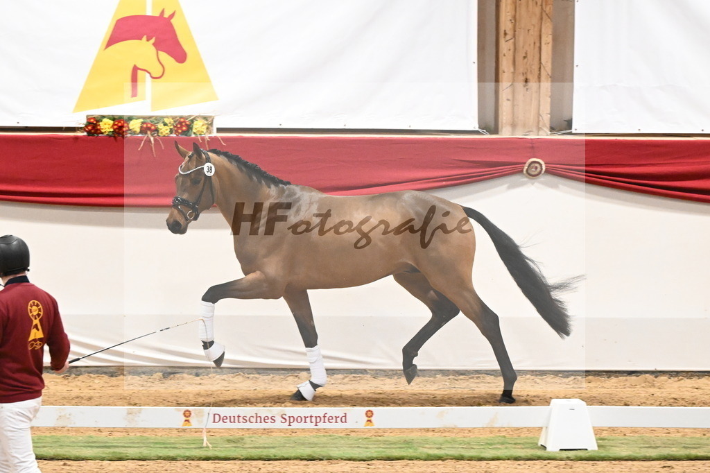 Kat.-Nr. 38 v. Bonds_Fathke und Hoth_3260190 | hf-fotografie - Realisiert mit Pictrs.com