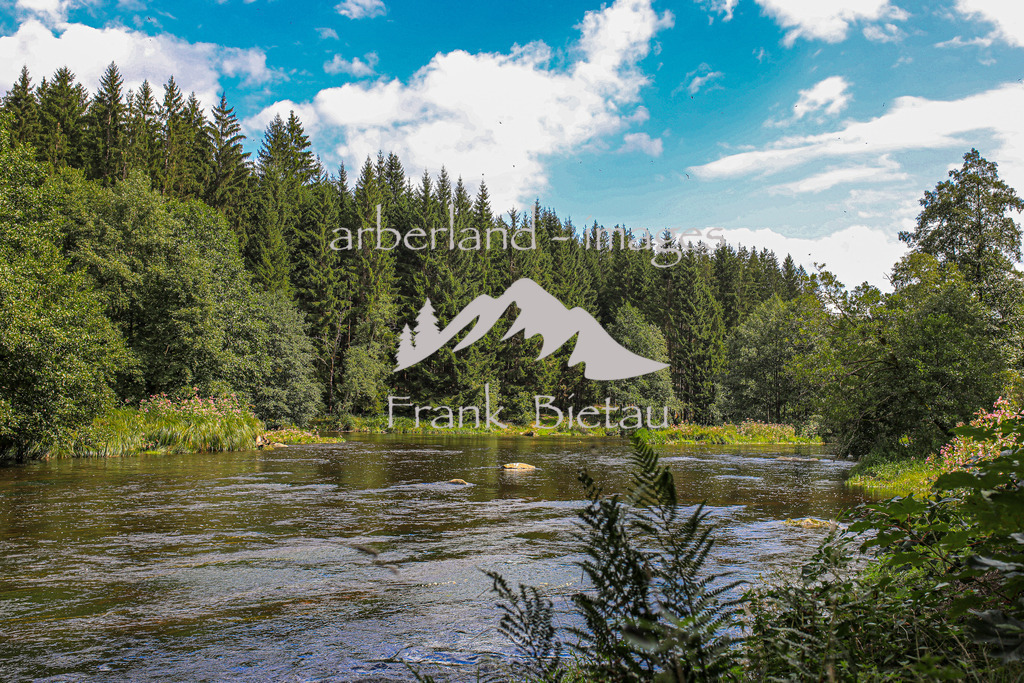 OE7A6784 | die Flusslandschaft am Regen im Bayerischen Wald wird auch als Bayerisch Kanda bezeichnet
