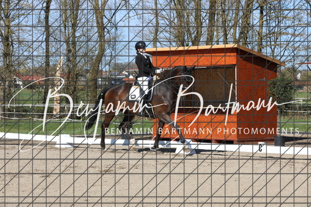 AZ2A6291 | Benjamin Bartmann Photomoments