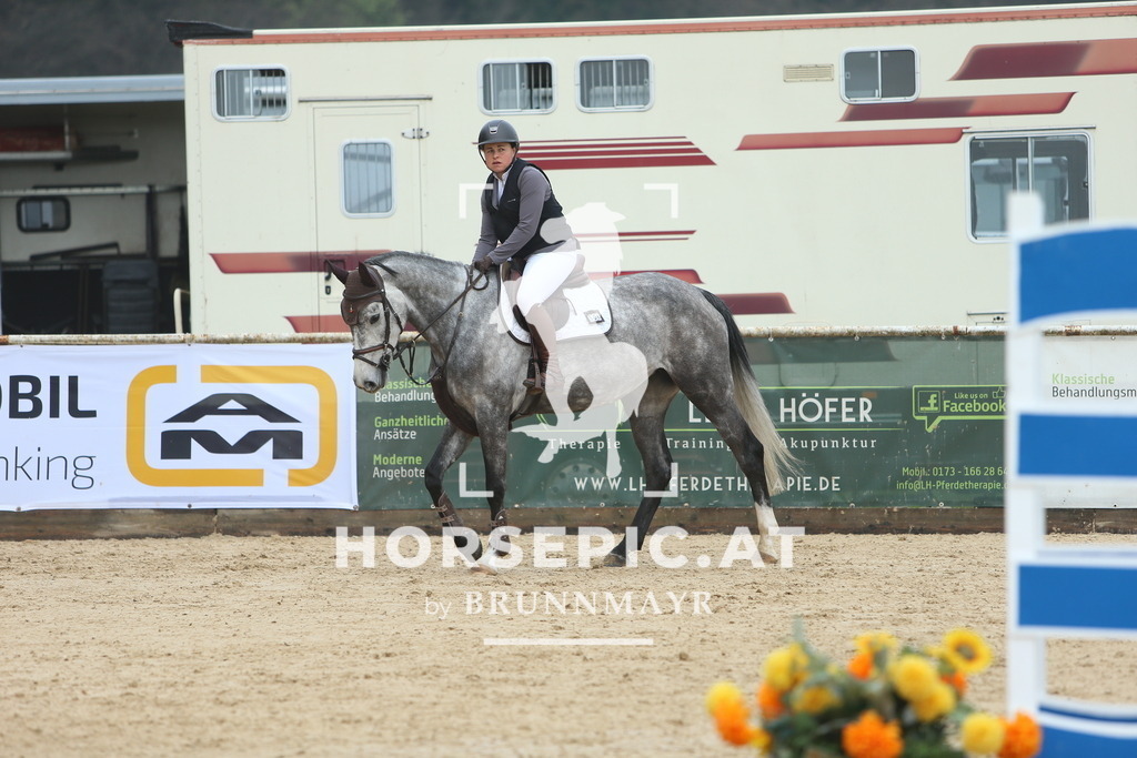 DL2Q8660 | Willkommen bei Brunnmayr - Design & Fotografie – Ihrem Spezialisten für Reitturniere und Pferdeveranstaltungen in Oberösterreich, Salzburg und Bayern! Seit über 17 Jahren sind wir leidenschaftlich dabei.