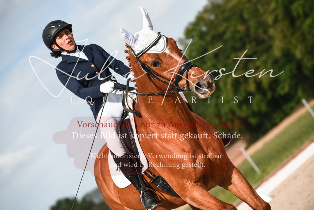 20230518_JK-Röhrsdorf-12-0686 | Pferde- und Turnierfotografie in Westsachsen. Pferdeportraits, Auftragszeichnungen und intuitive Kunst.