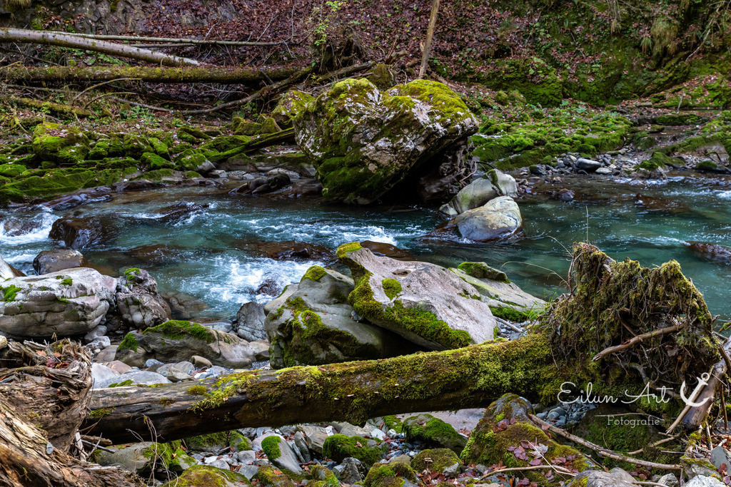 20241102-EAF_5483 | Eilun-Art-Fotografie Levke Martens, ihre Fotografin für Immobilien- und Landschaftsfotografie auf Föhr, Föhrer Motive als Poster, Leinwand, hinter Acrylglas oder stelle dir deinen eigenen Monatskalender zusammen, mit nur einem Klick