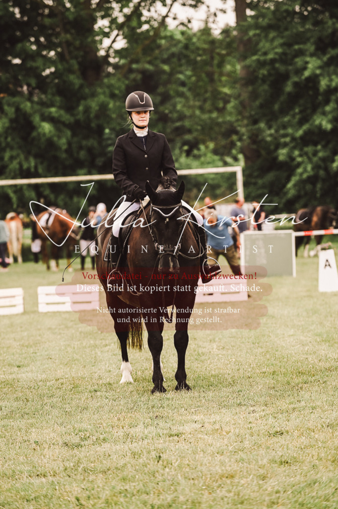 DSC_5136 | Pferde- und Turnierfotografie in Westsachsen. Pferdeportraits, Auftragszeichnungen und intuitive Kunst.