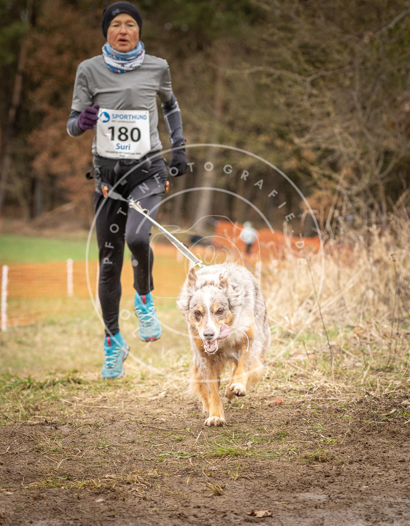 DV3A2523 | Hundefotografie, Tierfotograf, Pfotenfotografie, Fotoshooting Hund, Hunde Portrait, Hundesport, Hundeportraits, Heideshooting, Hunde, Sportfotograf, Hundefotograf, Turnierhundsport, THS,  - Realisiert mit Pictrs.com