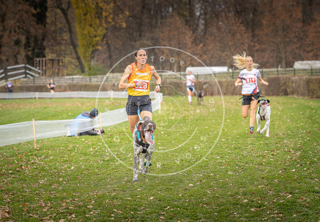 CaniXpix_DV3A6247 | Hundefotografie, Tierfotograf, Pfotenfotografie, Fotoshooting Hund, Hunde Portrait, Hundesport, Hundeportraits, Heideshooting, Hunde, Sportfotograf, Hundefotograf, Turnierhundsport, THS,  - Realisiert mit Pictrs.com