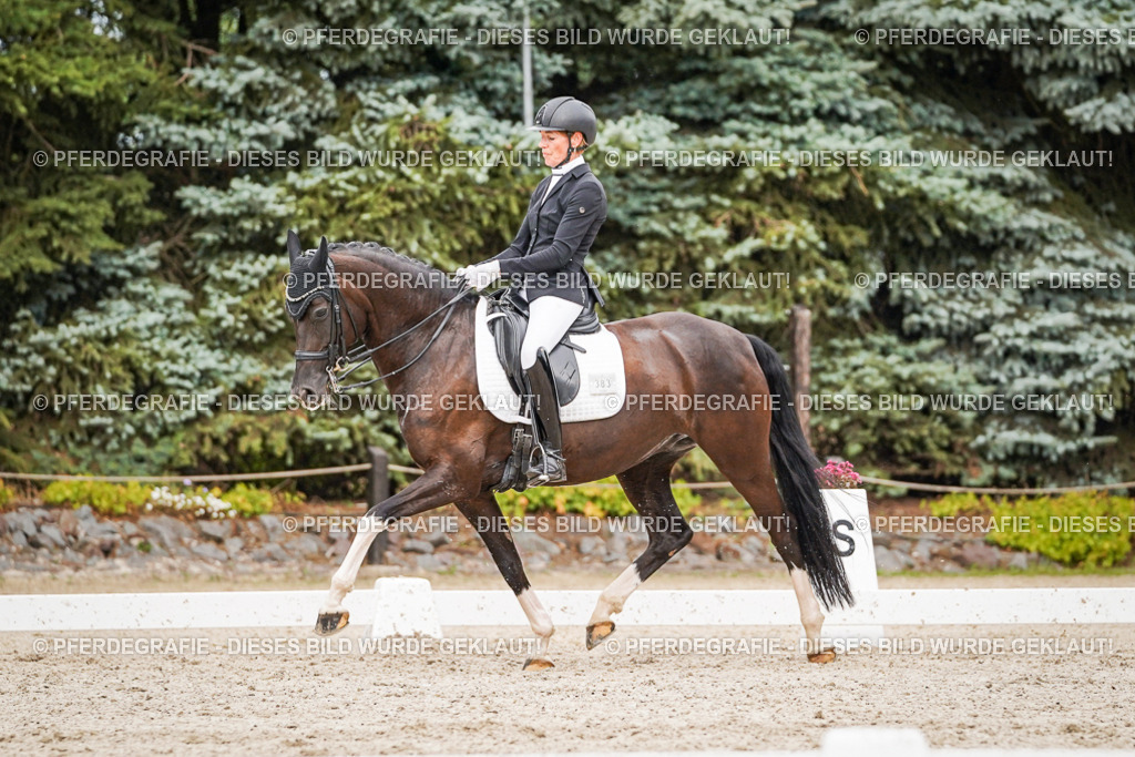 DSC07637 | Pferdegrafie