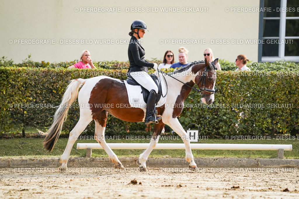 DSC04319 | Pferdegrafie