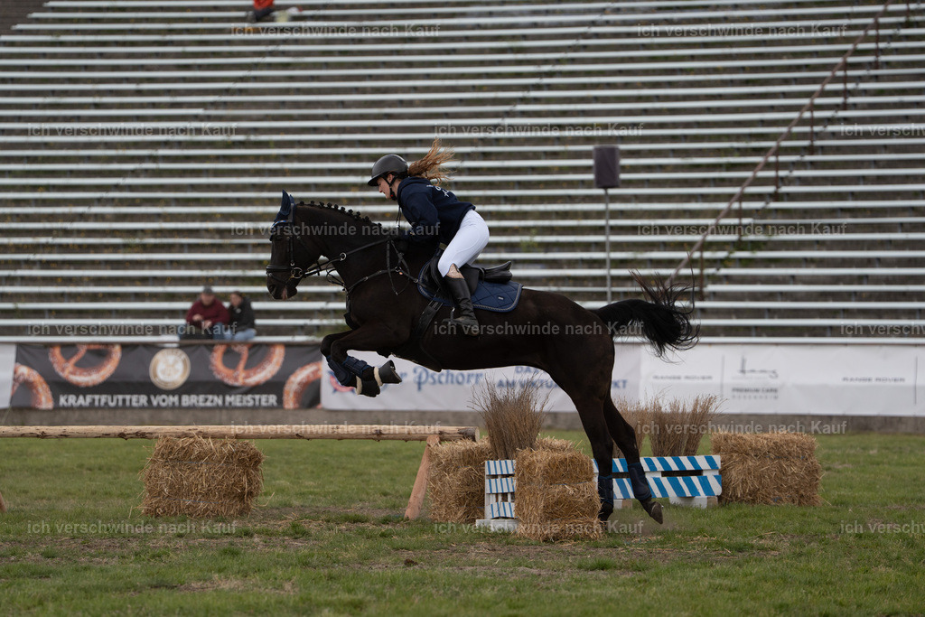PI26_show_Jan_Picutures7C_07075.jpg | working equitationturnier fotograf videograf stoibphotography marixx film working equitation deutschland reitsport turnierfotografie eventfotografie equestrian events