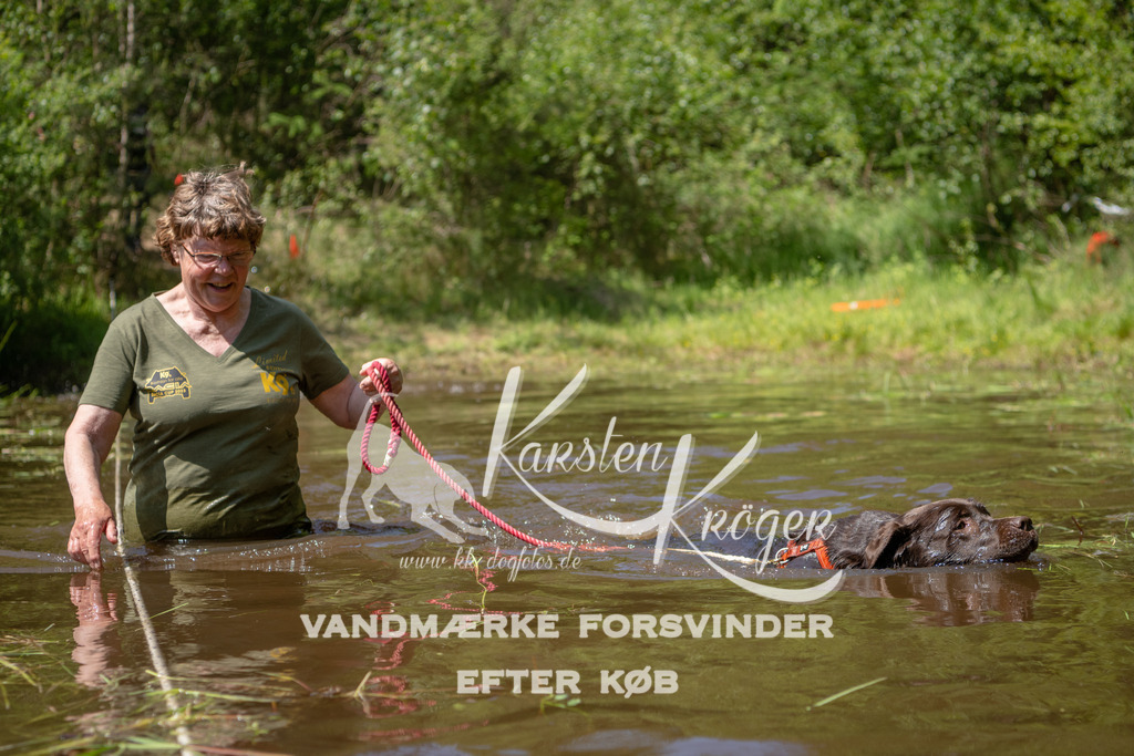 DK K991652141424 | kk-dogfotos